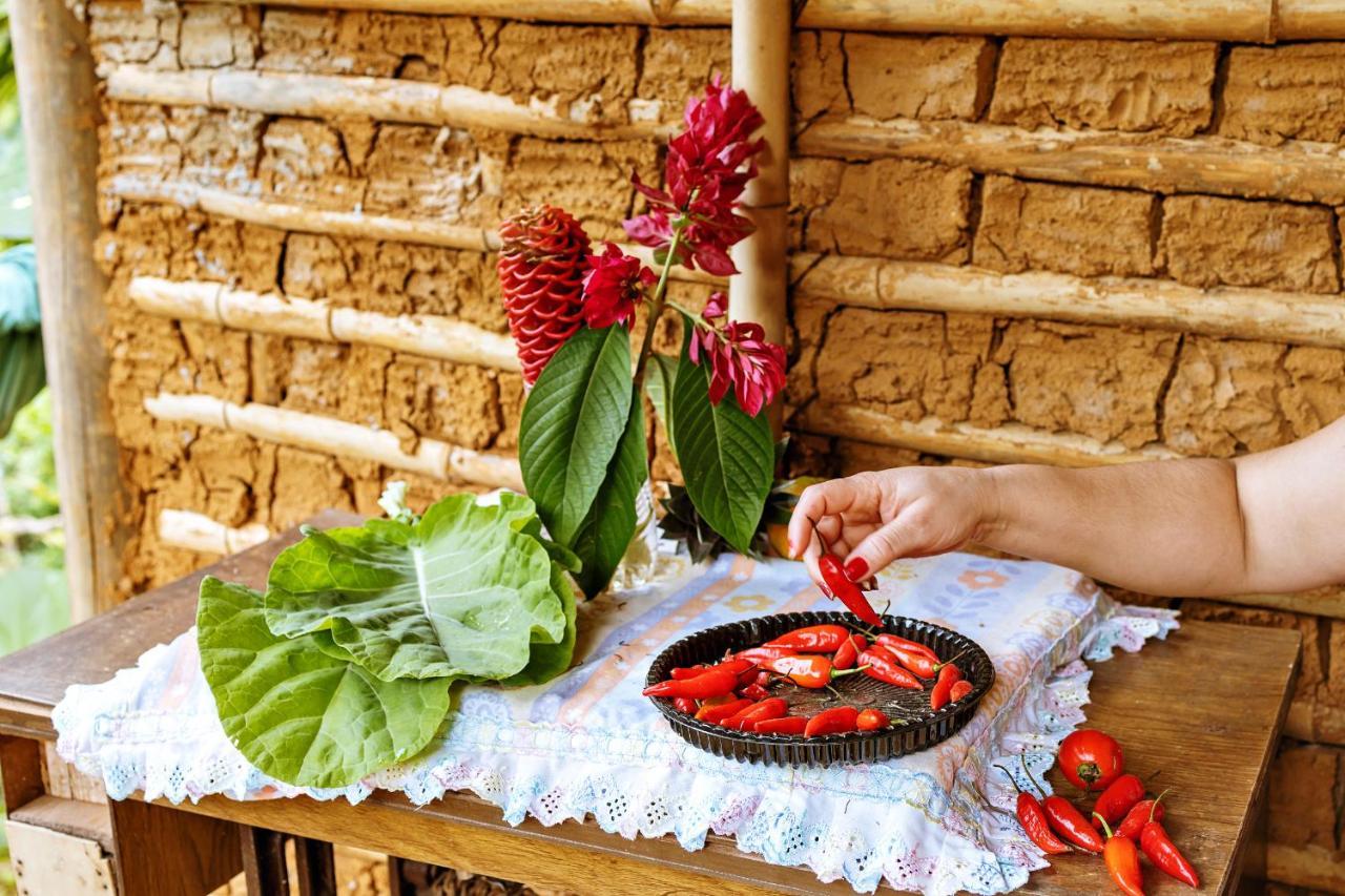 Chales Sol باراتي المظهر الخارجي الصورة